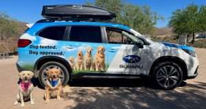 What is the Dogs Name in the Subaru Forester Commercial?
